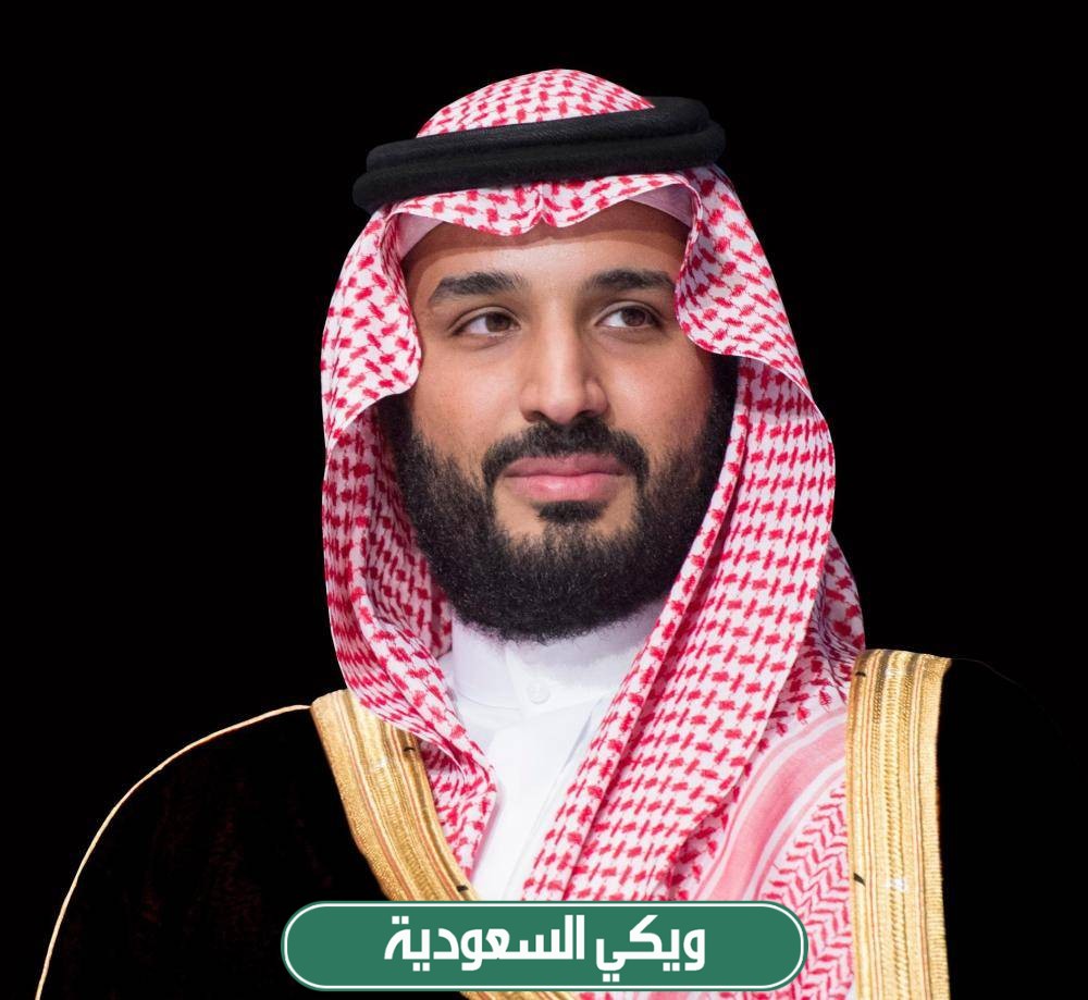 من هو الامير السعودي صاحب رؤية المملكة 2030
