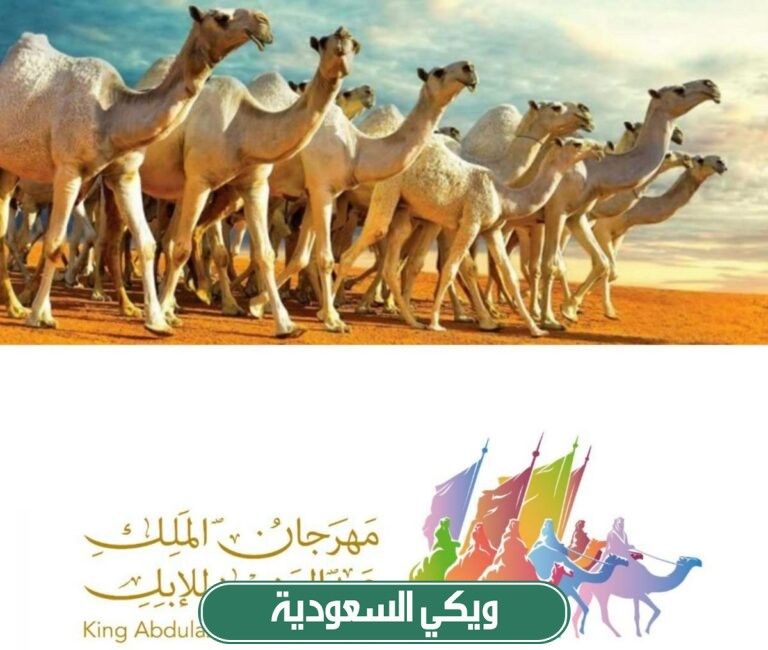 التسجيل في وظائف مهرجان الملك عبد العزيز للابل